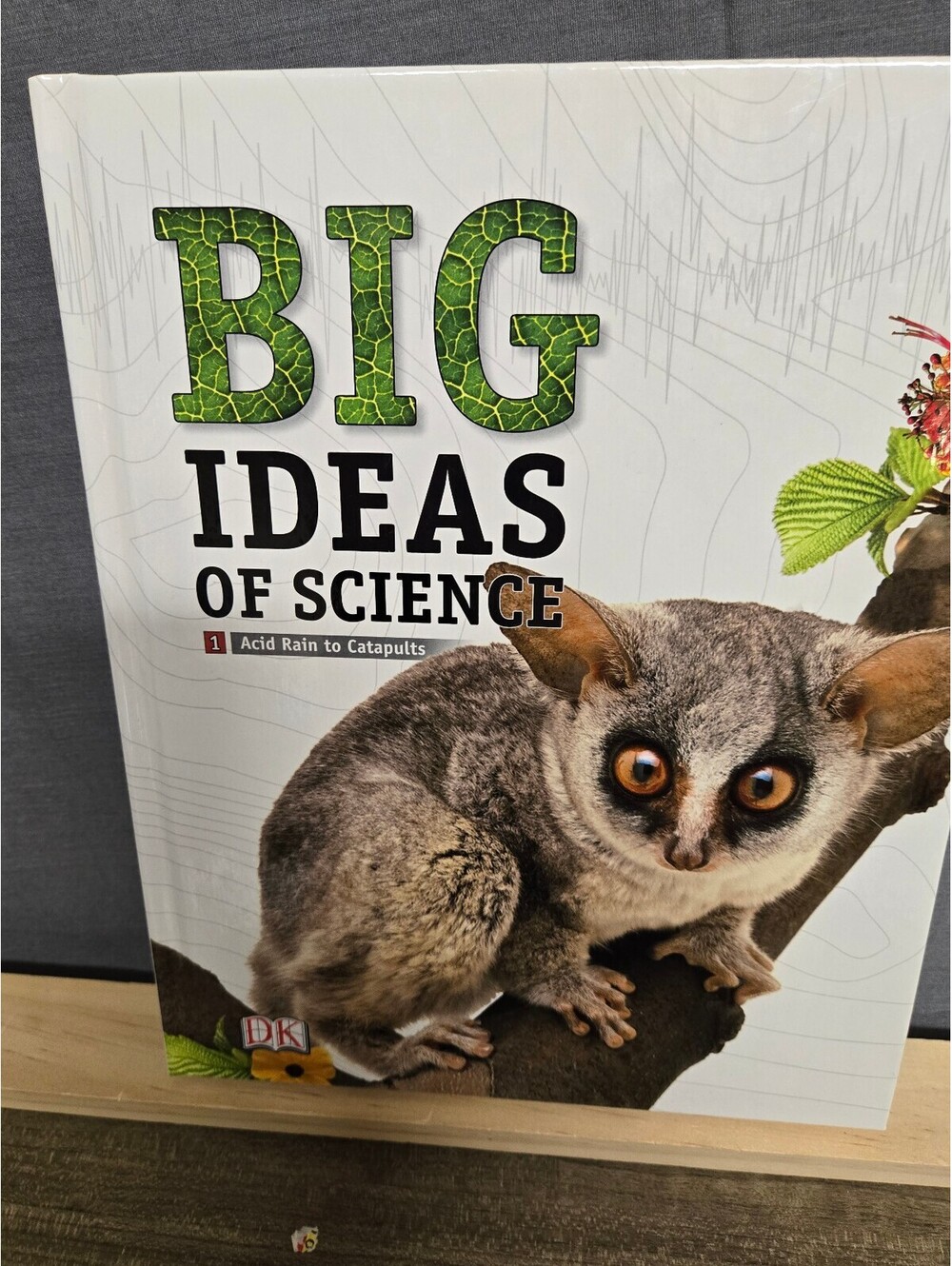 Big Ideas of Science Reference Library Volume 1: Acid Rainto